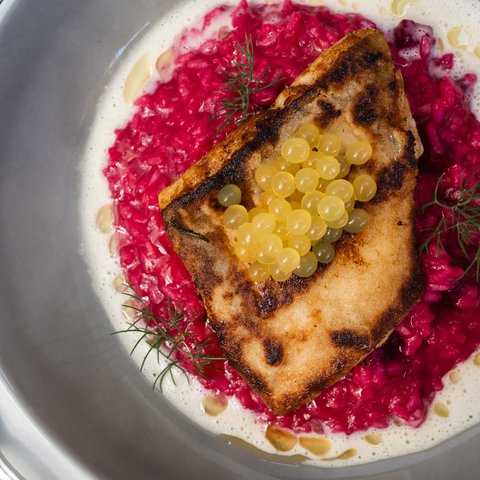 Inn & Restaurant in Parsberg serving regional cuisine Seared fillet with yellow pearls on pink risotto, garnished with dill and cream sauce