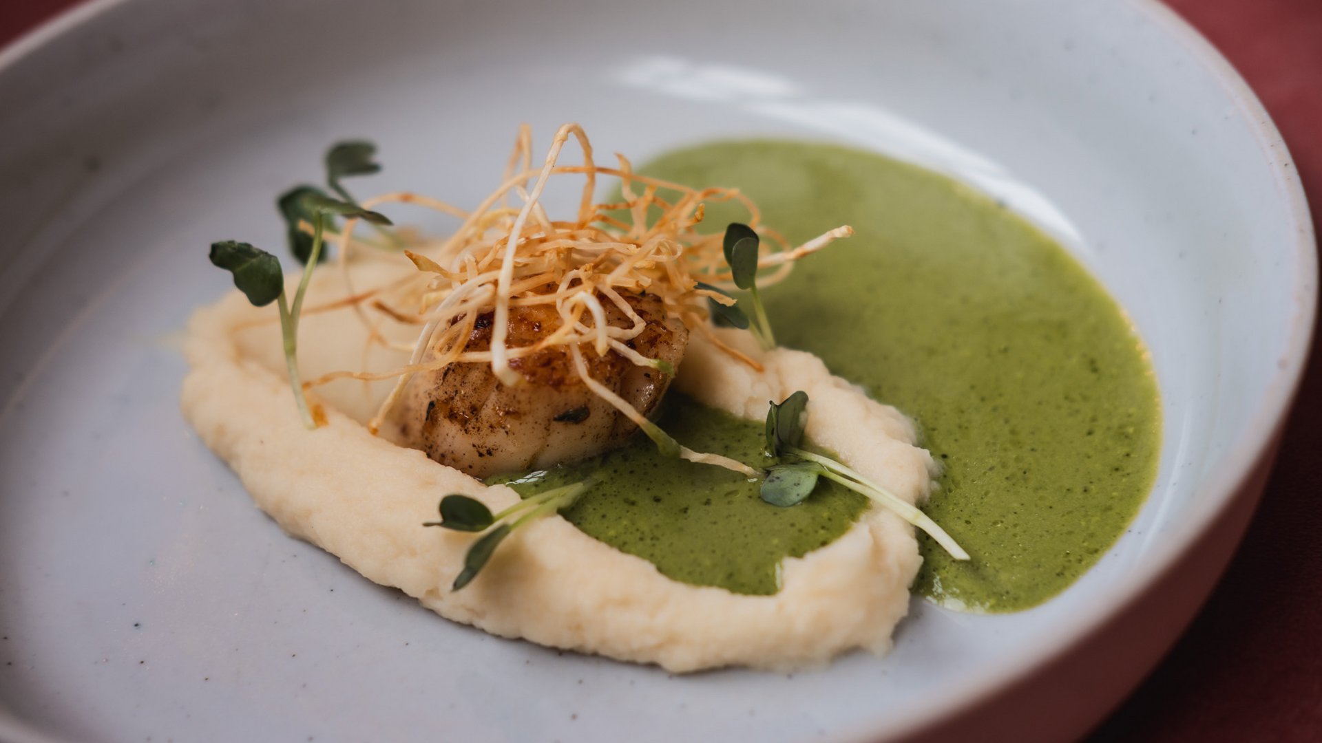 Restaurant in Parsberg: Enjoy gourmet Seared scallop with green puree, cauliflower puree and microgreens
