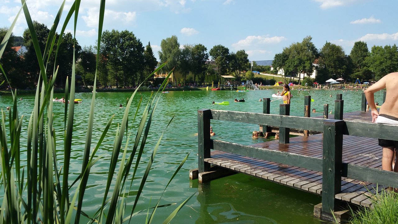 The most beautiful bathing lakes in Oberpfalz People swimming in a natural lake with a wooden pier on a sunny day