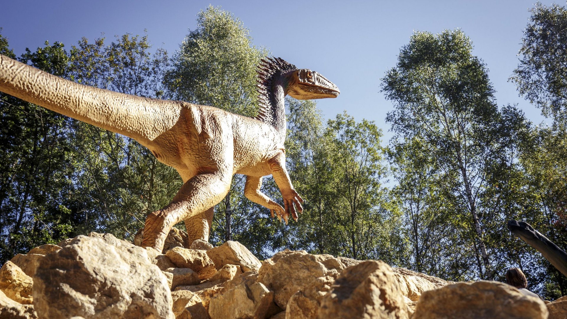 Hotels in Regensburg and its surroundings: culturally rich! Dinosaur model on rocks with clear sky and trees in the background