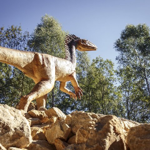 Hotels in Regensburg and its surroundings: culturally rich! Dinosaur model on rocks with clear sky and trees in the background