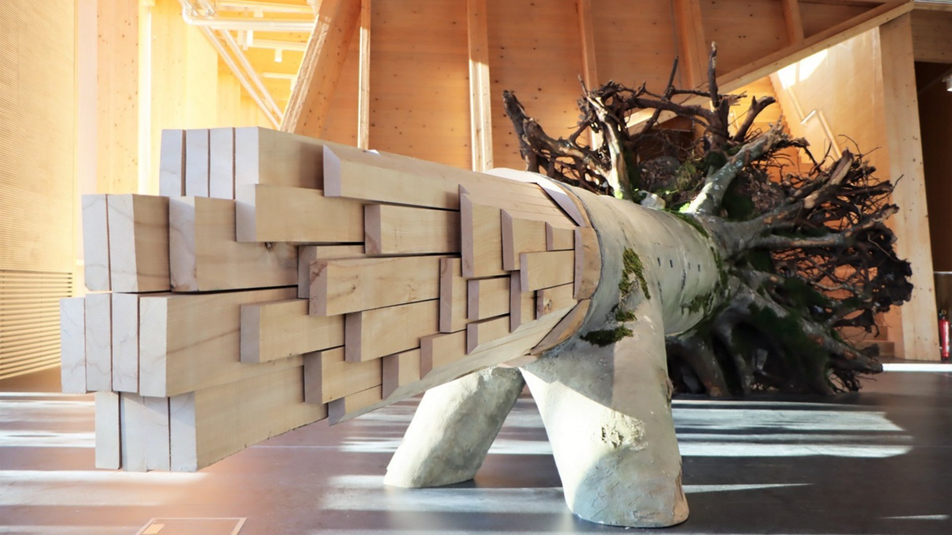 Hotels in Regensburg and its surroundings: culturally rich! Foto: NAWAREUM