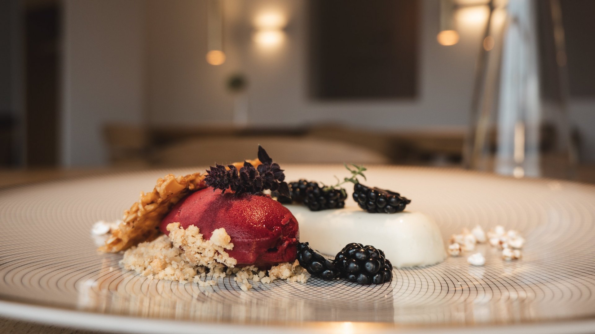 Restaurant in Parsberg: Enjoy gourmet Dessert with red sorbet, white cream, blackberries, and biscuit on plate